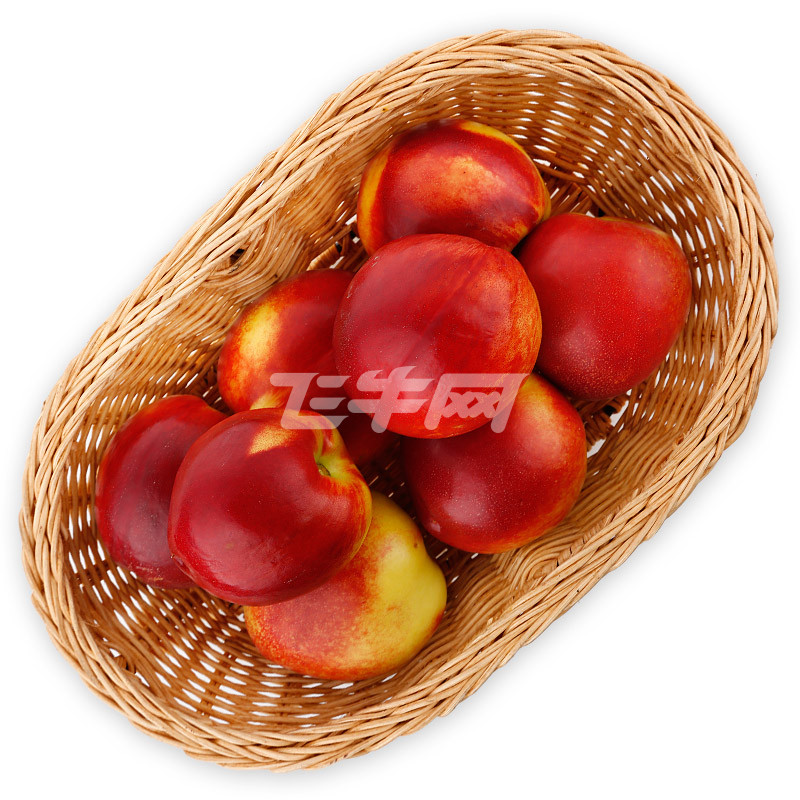 油桃 1斤装【价格,正品,报价】